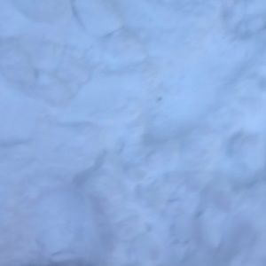 Meet your Posher, Ilane